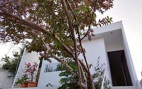 Casa Mango 3 Amplio Departamento